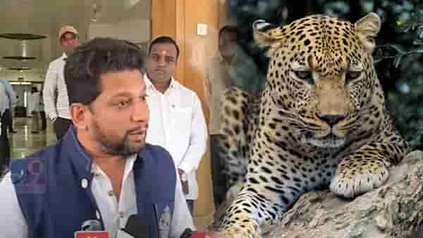 Sujay Vikhe Patil Video : बिबट्या माणसाला मारतो, आम्हालाही बिबट्याला मारू द्या; सुजय विखे थेट कोर्टात धाव घेणार