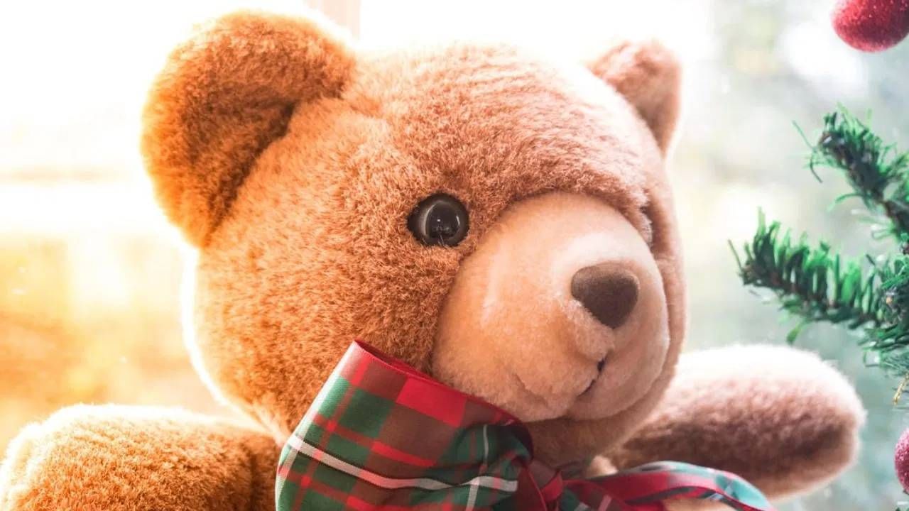 Happy Teddy Day : असा तसा नको, प्रेयसीला द्या फक्त याच रंगाचा डेटी बेअर, प्रत्येक रंगाला खास अर्थ Happy Teddy Day : असा तसा नको, प्रेयसीला द्या फक्त याच रंगाचा डेटी बेअर, प्रत्येक रंगाला खास अर्थ