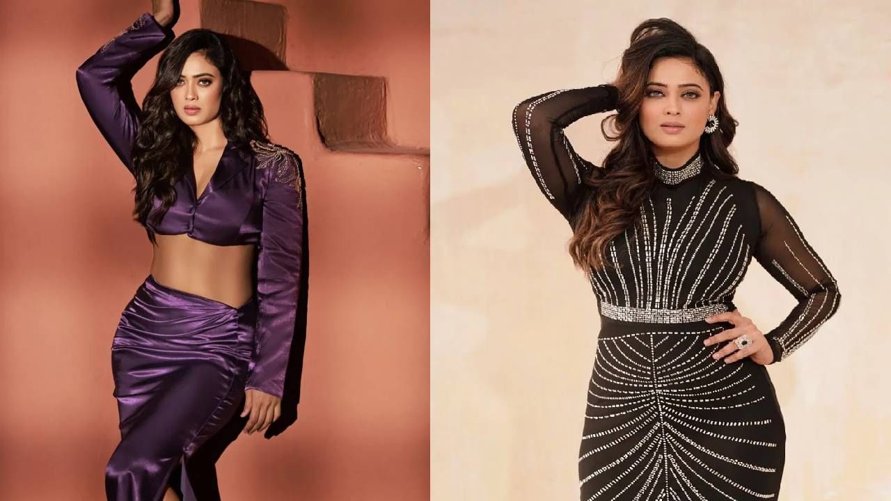 श्वेता तिवारीची मुलगी पलक 24 वर्षांची आहे. पण श्वेता फिटनेसमध्ये मुलीच्या दोन पावलं पुढे आहे. पण तुम्हाला माहित आहे का? श्वेता दररोज कुठल्या जनावराच मांस खाते?