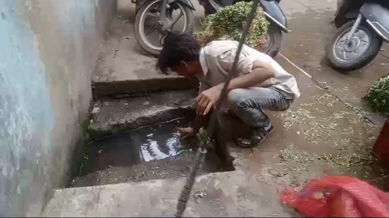 यामुळे अशा भाजी विक्रेत्यांवर कारवाई करण्याची मागणी केली जातं आहे.