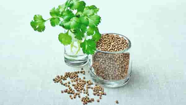 Coriender Water: रात्री झोपण्यापूर्वी कोथिंबीरीचे पाणी पिण्याचे आरोग्यदायी फायदे तुम्हाला माहिती आहेत का?
