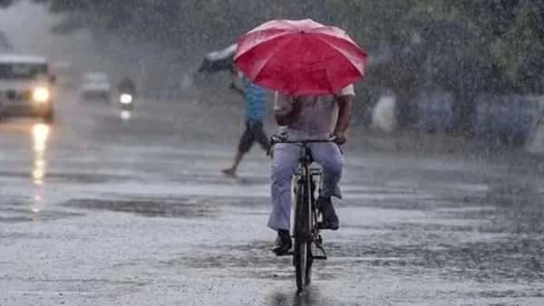 राज्यातून थंडी गायब झाली आहे, उन्हाचा कडाका चांगलाच वाढला आहे. मात्र आता आयएमडीकडून राज्यातील अनेक जिल्ह्यांना पावसाचा इशारा देण्यात आला आहे. अवकाळी पावसासोबत गारपिटीची देखील शक्यता वर्तवण्यात आली आहे.