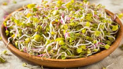 फिट राहण्यासाठी मोड आलेले कडधान्य खाताना या गोष्टी लक्षात ठेवा अन्यथा होईल नुकसान