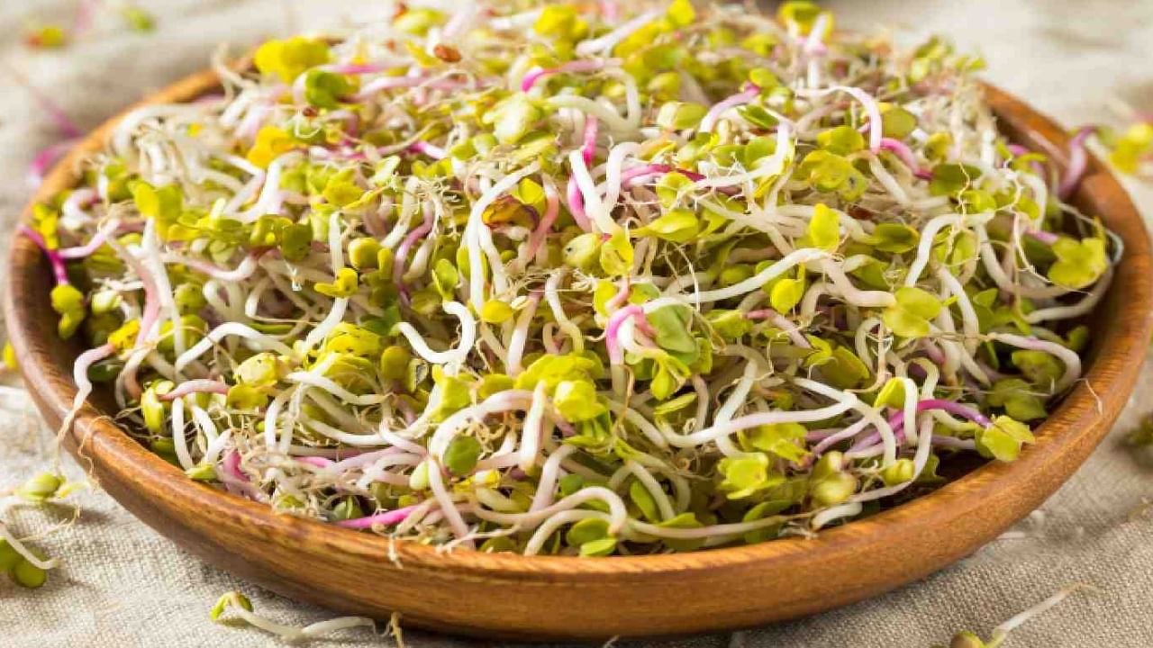 फिट राहण्यासाठी मोड आलेले कडधान्य खाताना 'या' गोष्टी लक्षात ठेवा अन्यथा होईल नुकसान