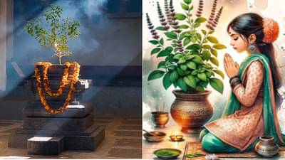 Chaitra Month 2025: चैत्र महिन्यात तुळशीचे हे उपाय केल्या तुम्ही व्हाल मालामाल... नक्की ट्राय करा
