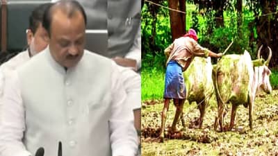 Maharashtra Budget 2025-26 : बजेटमध्ये शेतकऱ्यांसाठी काय? काय आहे बळीराजा शेत व पाणंद रस्ते योजना?
