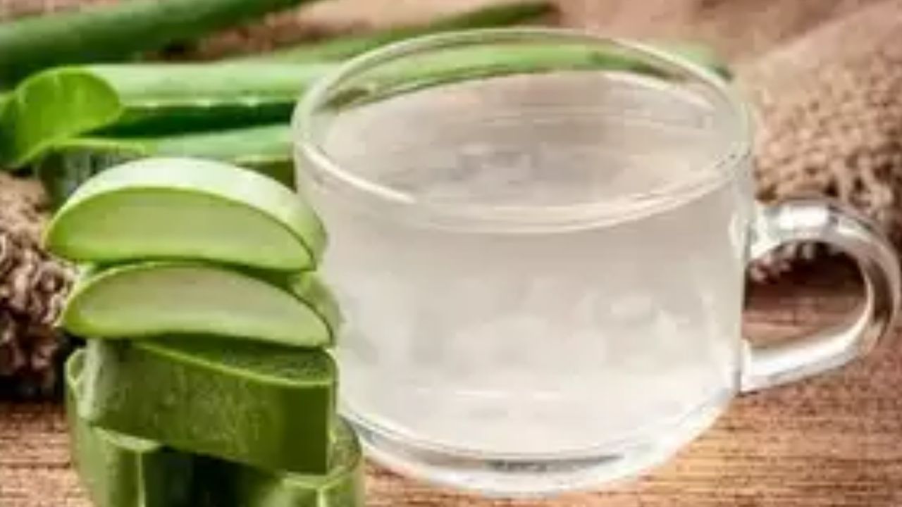 कोरफड जेल दीर्घकाळ टिकवण्यासाठी तुम्ही 'या' घरगुती पद्धतींचा करा अवलंब कोरफड जेल दीर्घकाळ टिकवण्यासाठी तुम्ही 'या' घरगुती पद्धतींचा करा अवलंब