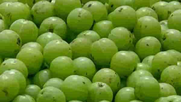केसांना आवळा लावताना या ३ गोष्टी लक्षात ठेवा, अन्यथा पडु शकते टक्कल