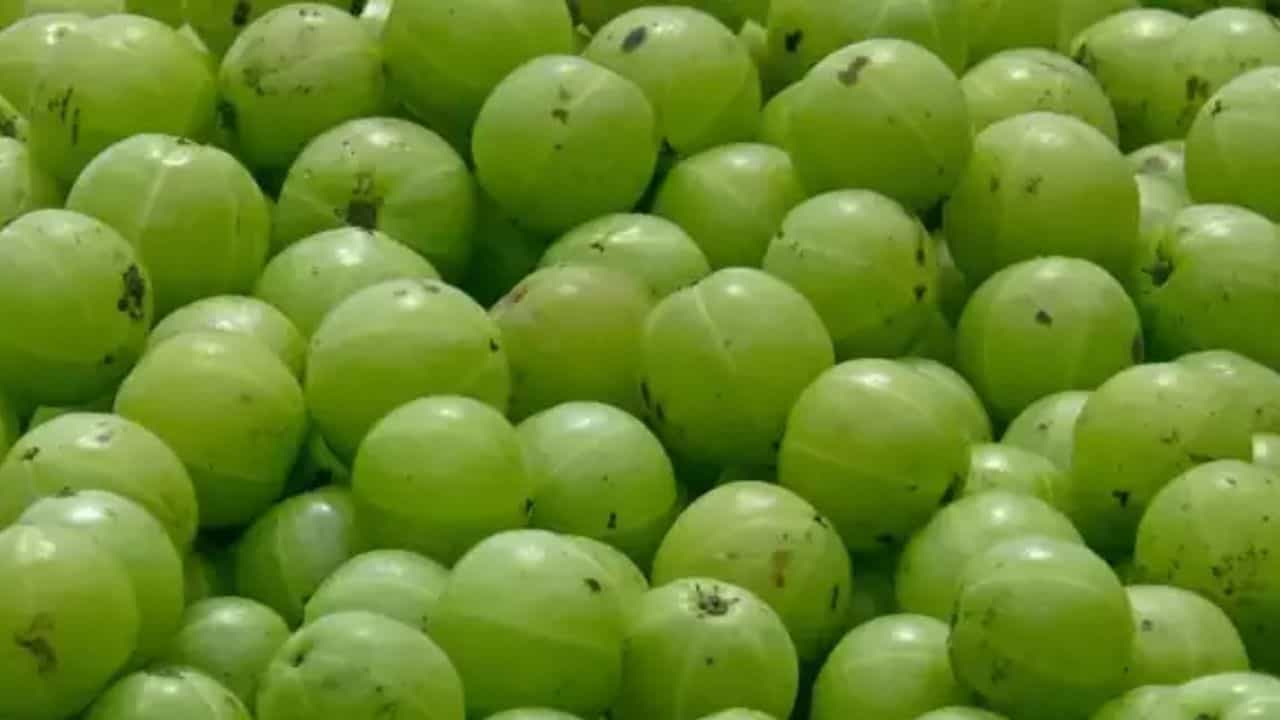 केसांना आवळा लावताना या ३ गोष्टी लक्षात ठेवा, अन्यथा पडु शकते टक्कल