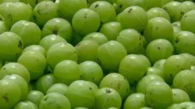 केसांना आवळा लावताना या ३ गोष्टी लक्षात ठेवा, अन्यथा पडु शकते टक्कल