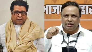राज ठाकरेंच्या 'त्या' टीकेला शेलारांचं खोचक प्रत्युत्तर; म्हणाले ज्यांना निवडून येता येत नाही ते...