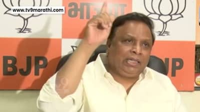 Ashish Shelar : रायगडच्या पालकमंत्री पदाचा विषय कोणाच्या अखत्यारित? आशिष शेलार म्हणाले....