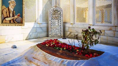 औरंगजेब, राष्ट्रपुरूष होता काय? औरंगजेबाची कबर काढून टाका, शरद पवार राष्ट्रवादीच्या या खासदाराची मोठी मागणी