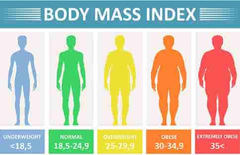Weight Chart : हाईट 54″ आहे तर वजन किती असायला पाहिजे ? परफेक्ट बॉडीसाठी सिंपल चार्ट पाहा
