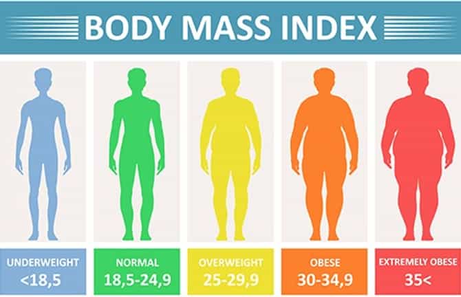 Weight Chart : हाईट 54″ आहे तर वजन किती असायला पाहिजे ? परफेक्ट बॉडीसाठी सिंपल चार्ट पाहा