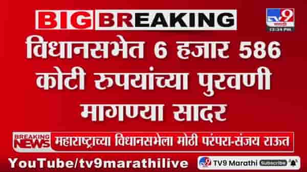 State Budget Session 2025 : 6 हजार 585 कोटी रुपयांच्या पुरवणी मागण्या सादर