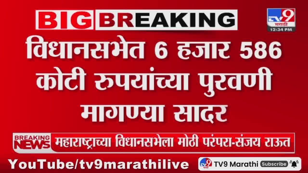 State Budget Session 2025 : 6 हजार 585 कोटी रुपयांच्या पुरवणी मागण्या सादर