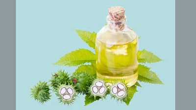 त्वचेपासून ते आरोग्यापर्यंत या पाच प्रकारे एरंडेल तेल फायदेशीर