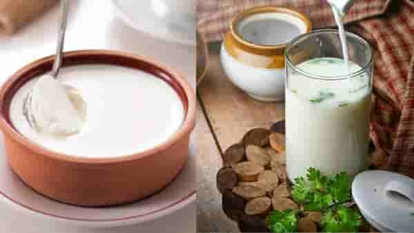 दही की ताक; उन्हाळ्यात शरीराला थंडावा देण्यासाठी उपयुक्त काय?