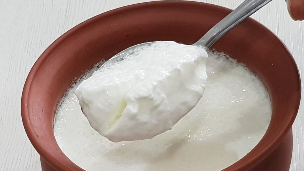 तुम्ही सकाळी नाश्त्यात दह्याचे सेवन केले तर त्याचे तुम्हाला अनेक फायदे होतात. नाश्त्यात दही खाणे ही जुनी परंपरा आहे. जर तुम्ही सकाळी नाश्त्यात दही खात असाल तर त्याचा तुमच्या आरोग्यावर सकारात्मक परिणाम होतो.