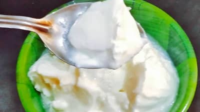 उन्हाळ्यात दररोज दही खात असाल तर या गोष्टींची आवश्य काळजी घ्या