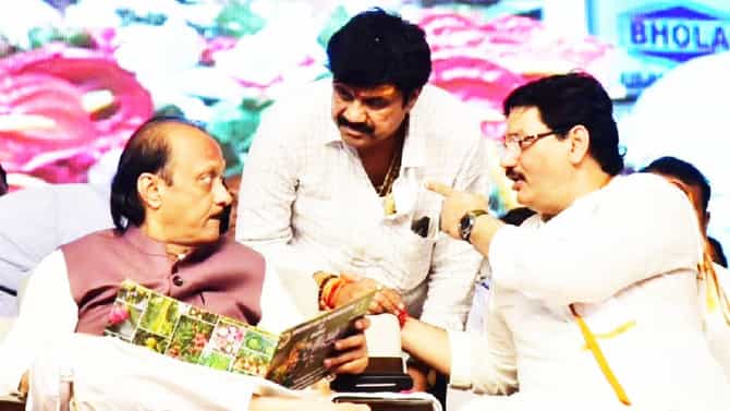 थोरले मुंडे असते तर धनंजय मुंडेंना चाबकाने फोडले असते, राष्ट्रवादीच्या बड्या नेत्याने सुनावले, अजितदादांना केले हे आवाहन