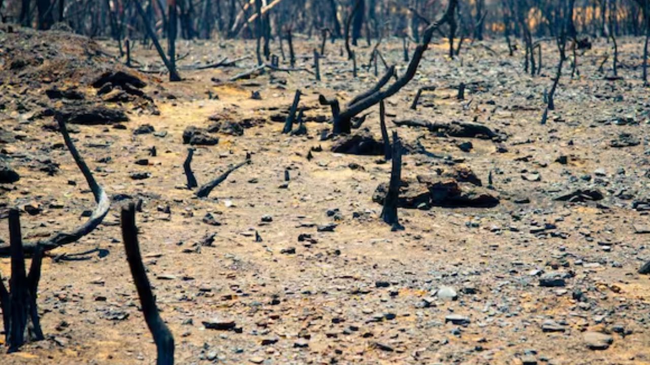 'जग संपणार, काहीच वाचणार नाही...', डोनाल्ड ट्रम्प यांची भविष्यवाणी, बाबा वेंगा यांचे म्हणणे खरे ठरणार का? 'जग संपणार, काहीच वाचणार नाही...', डोनाल्ड ट्रम्प यांची भविष्यवाणी, बाबा वेंगा यांचे म्हणणे खरे ठरणार का?