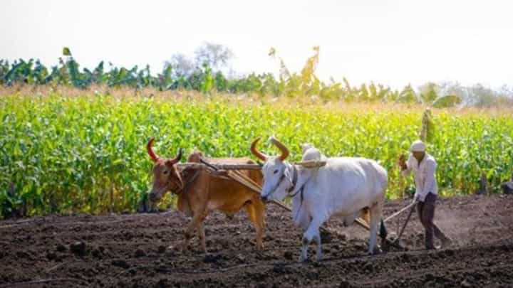Farmer's News : शेतकऱ्यांना दिलासा; भरपाई म्हणून मिळणार 53 हजार 727 कोटी Farmer's News : शेतकऱ्यांना दिलासा; भरपाई म्हणून मिळणार 53 हजार 727 कोटी