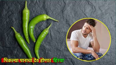 हिरवी मिर्ची खाल्ल्यास पिकल्या पानाचा देठ होणार हिरवा, फायदे जाणून पुरूष आजपासूनच सुरू करतील खाणे