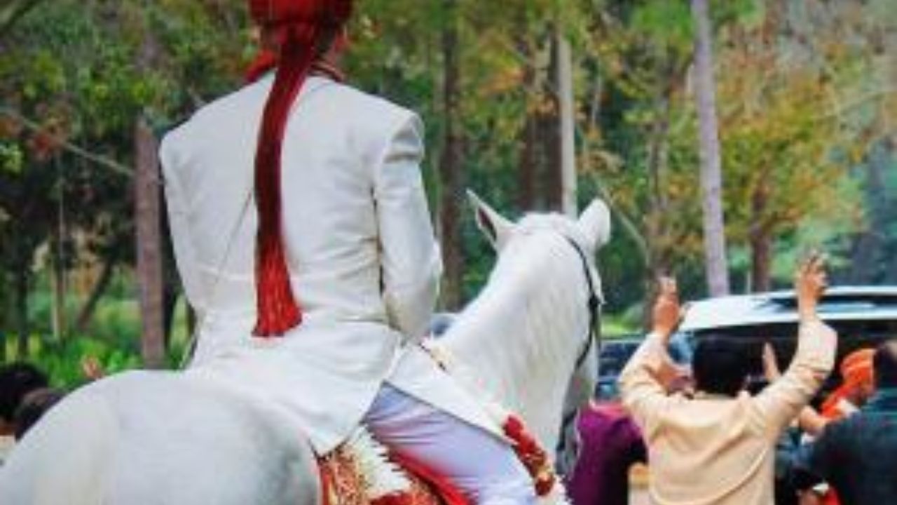लग्नात नवरदेव घोड्याऐवजी घोडीवर का बसतो? काय आहे त्याच्या मागील कारण