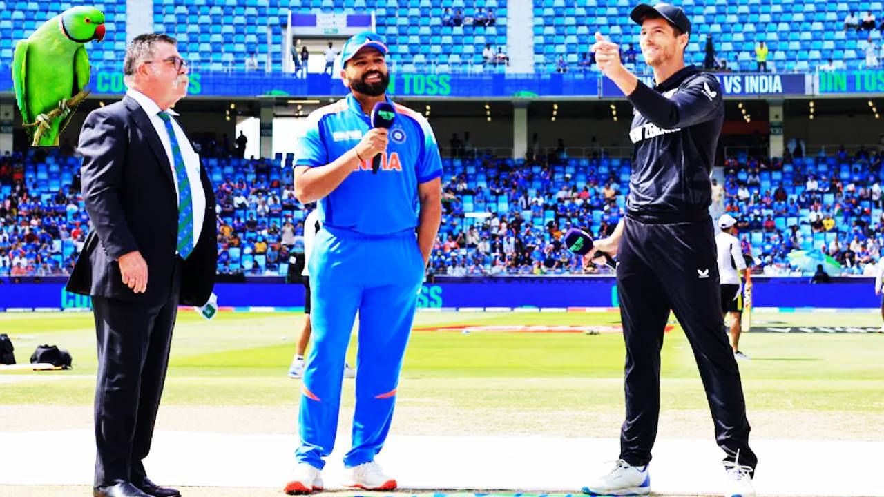 IND Vs NZ : भारत हारणार की जिंकणार न्यूझीलंड? सामन्यापूर्वीच जादूगार पोपटाची धक्कादायक भविष्यवाणी, कोण बाजी मारणार क्रमवारीत