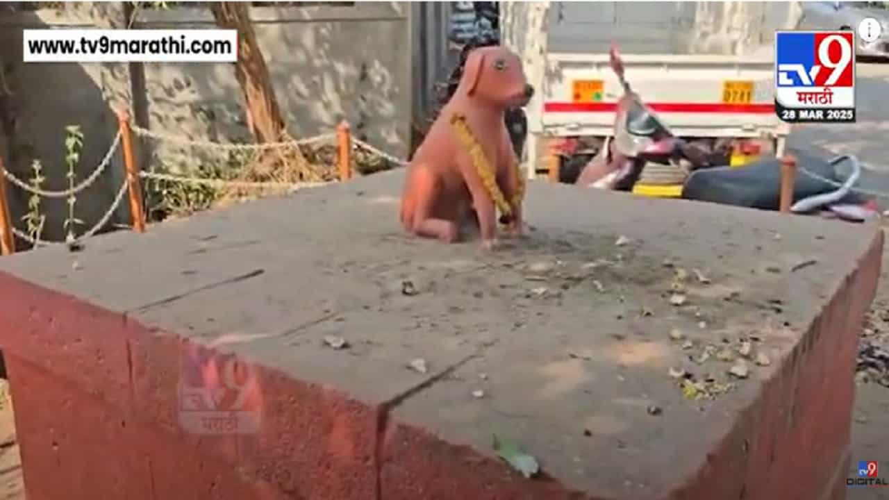 रायगडावरील 'वाघ्या'ची चर्चा असताना छत्रपती शाहूंच्या प्रिय खंड्या श्वानाचीही होतेय चर्चा