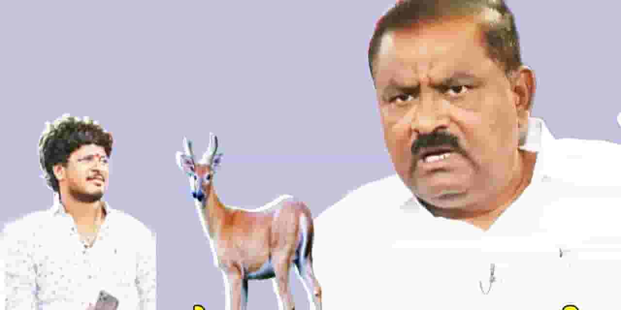 Suresh Dhas : धसांना हरणाचं मांस पुरवलं? 'बिश्नोईकडून माझ्या हत्येचा कट...', सुरेश धसांनी Tv9 शी बोलताना सारंकाही सांगितलं Suresh Dhas : धसांना हरणाचं मांस पुरवलं? 'बिश्नोईकडून माझ्या हत्येचा कट...', सुरेश धसांनी Tv9 शी बोलताना सारंकाही सांगितलं