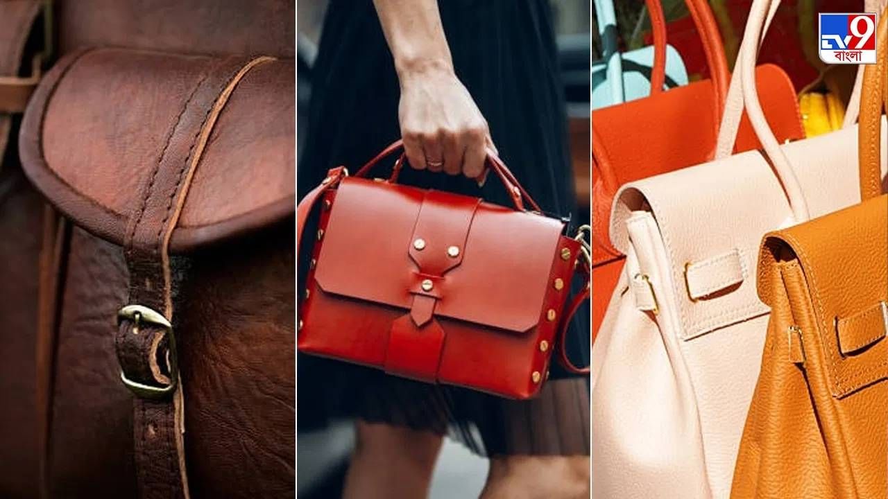 बायकोला ‘या’ कंपनीची पर्स घेऊन द्या, अमेरिकन शेअर बाजारापेक्षा जास्त परतावा मिळेल बायकोला ‘या’ कंपनीची पर्स घेऊन द्या, अमेरिकन शेअर बाजारापेक्षा जास्त परतावा मिळेल