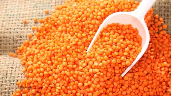 मसूर डाळ शरीरासाठी भरपूर पोषक असते. या डाळीमध्ये अंडी, मांस आणि मासे याच्यापेक्षा अधिक पोषक घटक आहेत. या दाळींमध्ये मुबलक प्रमाणात प्रोटीन असल्याचे आरोग्य क्षेत्रातील तज्ज्ञांकडून आणि आहार तत्ज्ञांकडून सांगितले जाते.