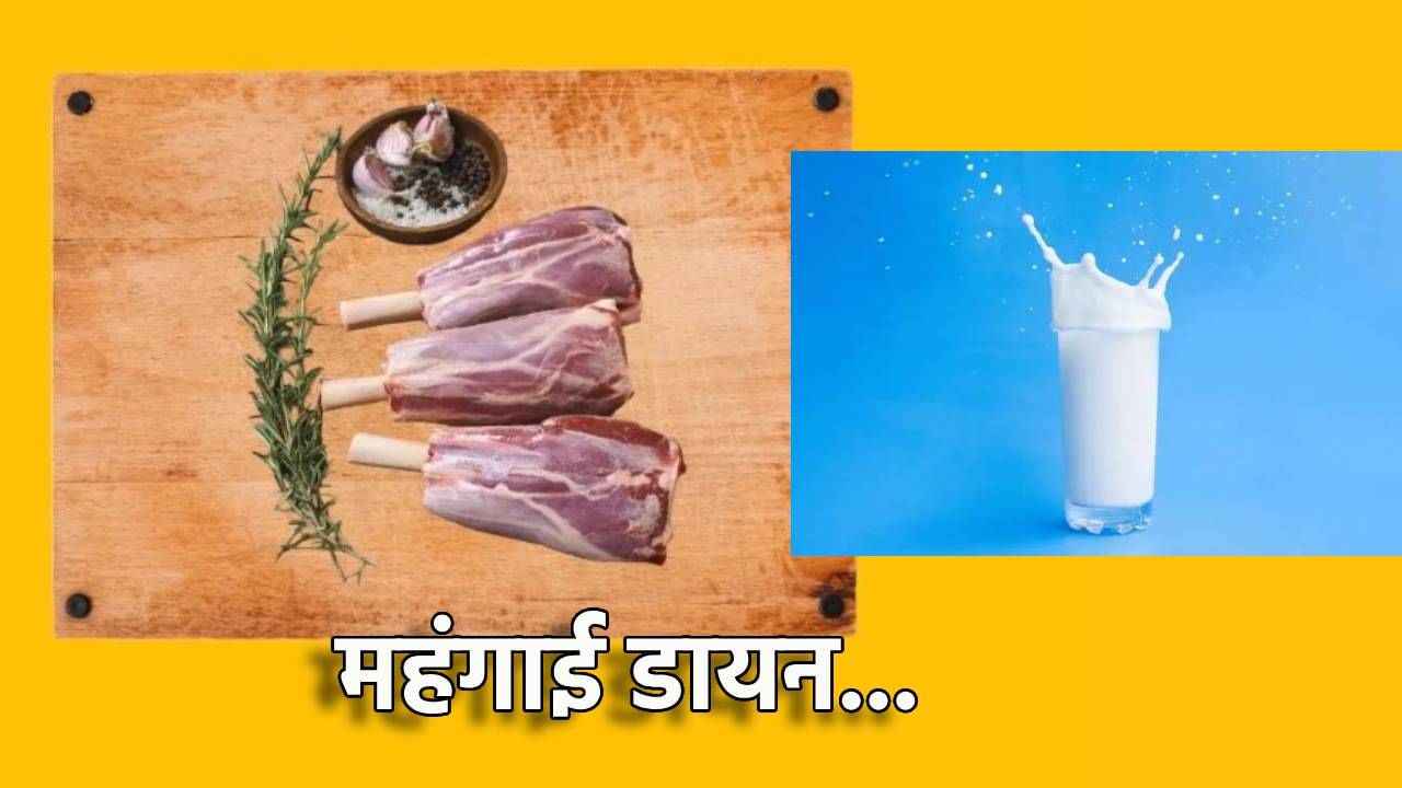 सर्वसामान्यांना महागाईचा तडाखा, मटणालाच नाही तर दुधाला दरवाढीची उकळी, ग्राहकांचा खिशावर बोजा सर्वसामान्यांना महागाईचा तडाखा, मटणालाच नाही तर दुधाला दरवाढीची उकळी, ग्राहकांचा खिशावर बोजा