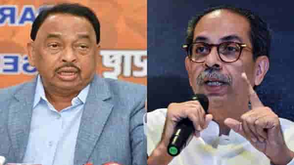 दिशा सालियन प्रकरणात नारायण राणेंचा मोठा गौप्यस्फोट, म्हणाले उद्धव ठाकरेंचे दोन फोन आले अन्...
