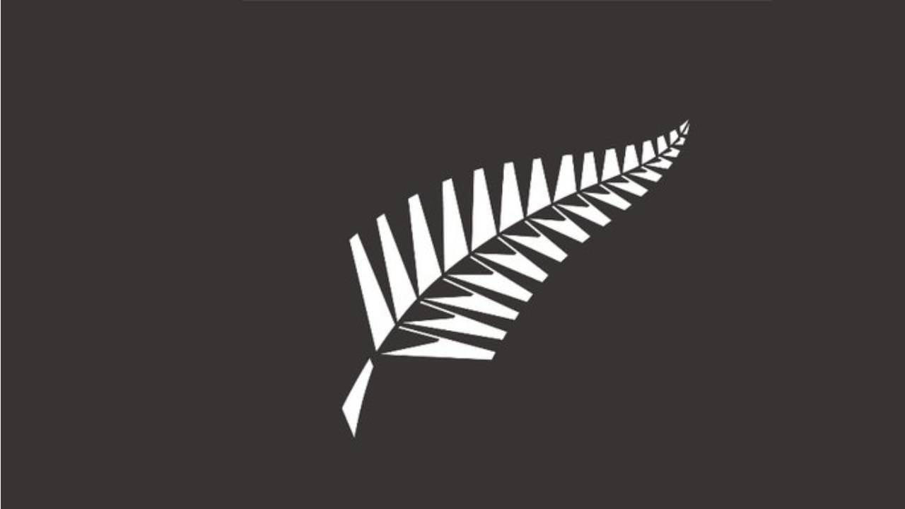 चॅम्पियन्स ट्रॉफीपूर्वी न्यूझीलंडने 98 धावांनी मिळवला विजय, प्लिमरची शतकी खेळी ठरली निर्णायक