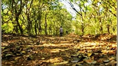 जंगलात सापडला मुलीचा मोबाईल; तिथलं दृश्य पाहताच पोलिसांची उडाली भंबेरी, बॉयफ्रेंडसोबत घरातून होती पळाली