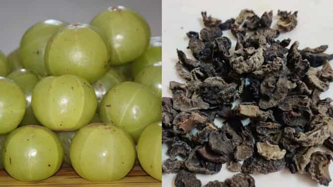 सुका की कच्चा आवळा; आरोग्यासाठी कोणता जास्त फायदेशीर? जाणून घ्या
