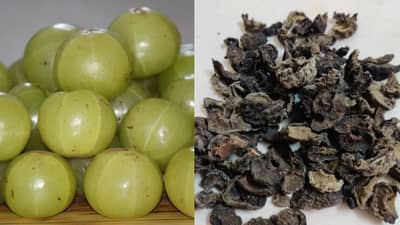 सुका की कच्चा आवळा; आरोग्यासाठी कोणता जास्त फायदेशीर? जाणून घ्या