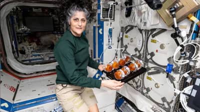 Sunita Williams : अंतराळात 9 महिने अडकलेल्या सुनिता विल्यम्सना मिळणार फक्त एवढाच पगार ?