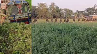 शेतात गुप्तपणे 10 चाकांचा ट्रक उभा होता, गावकऱ्यांचं दुर्लक्ष, पोलीस पोहोचताच उघडलं रहस्य