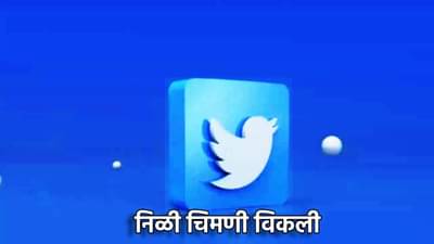 Twitter लोगोचा लिलाव, निळ्या चिमणीसाठी कितीची बोली? आकडा पाहून बसेल धक्का