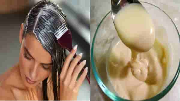 मेयोनीज आहे केसांसाठी वरदान; फायदे जाणून रोज खाल अन् केसांनाही लावाल