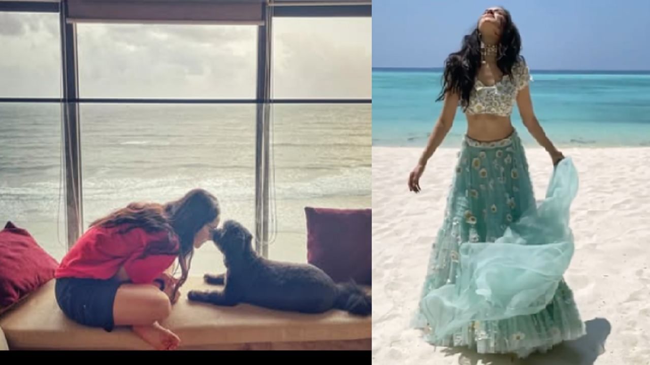 'ही' अभिनेत्री एकेकाळी कॉफी शॉपमध्ये वेटरचं काम करायची; आज बॉलिवूडमधील टॉपची अभिनेत्री 'ही' अभिनेत्री एकेकाळी कॉफी शॉपमध्ये वेटरचं काम करायची; आज बॉलिवूडमधील टॉपची अभिनेत्री