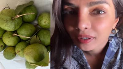 पेरू विकणाऱ्या महिलेची प्रियांका चोप्रा फॅन झाली; उडत्या विमानात बनवला व्हिडीओ