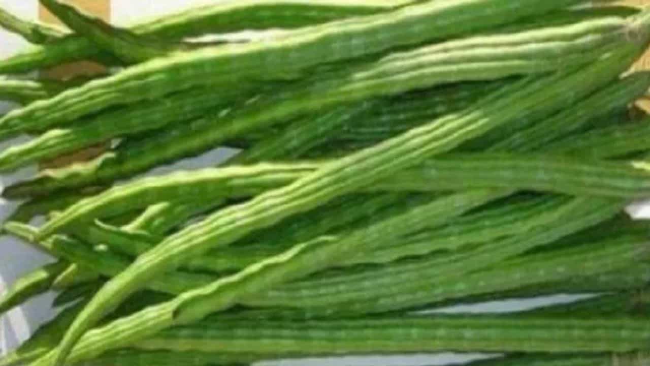 आरोग्यासाठी वरदान आहेत शेवग्याच्या शेंगा, भाजीमध्ये दडलेत हे आश्चर्यकारक फायदे