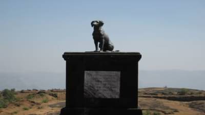 वाघ्या कुत्र्याच्या शिल्पाचा वाद चिघळला, संभाजी ब्रिगेडची वादात उडी, थेट दिला इशारा