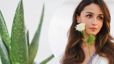 रात्री झोपण्यापुर्वी कोरफड जेलमध्ये या 5 गोष्टी मिक्स करा, 15 दिवसात चमकदार दिसेल चेहरा